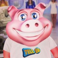 porco da telesena (@larimartinz) 's Twitter Profile