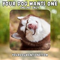 Your Dog Wants One (@yourdogwantsone) 's Twitter Profile