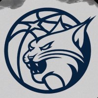 Minnesota Lynx (@minnesotalynx) 's Twitter Profile Photo Minnesota Lynx (@minnesotalynx) 's Twitter Profile Photo