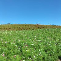 クラゲ (@zmyssircx9qkfql) 's Twitter Profile