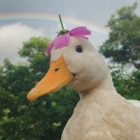 кварц (@mrsvetog) 's Twitter Profile