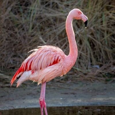 LoversFlam67318's profile picture.