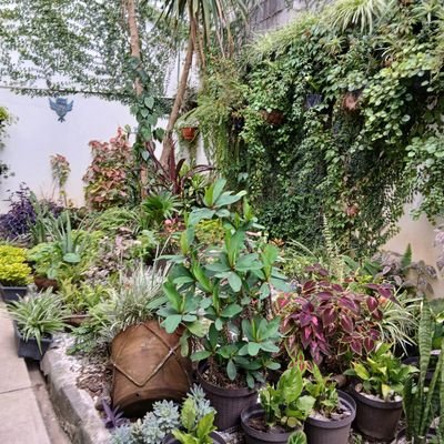 paellaensucasa's profile picture. Cocino, luego existo.