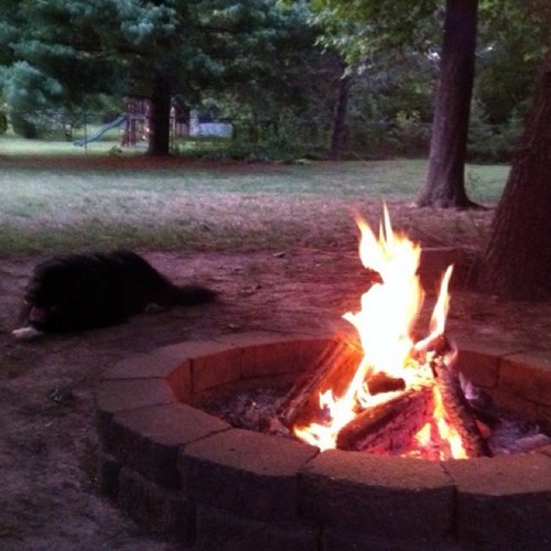 tport37's profile picture. 