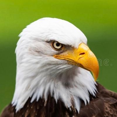 xbeaudoin16's profile picture. Retired Senior Financial Analyst, Controller. Married with adult children. Cancer survivor. PLEASE NO DMs.