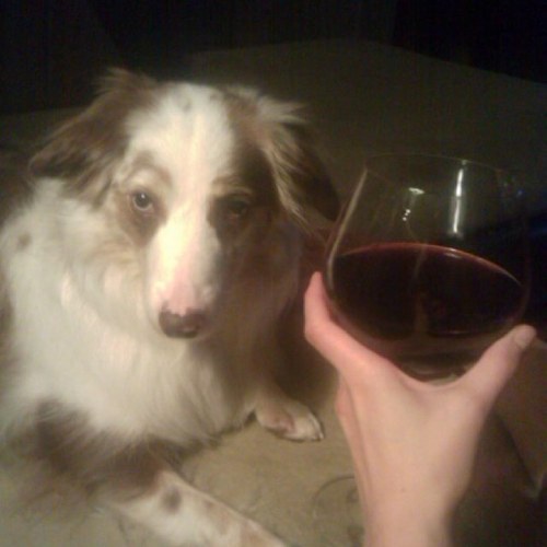 ayayhellsyeah's profile picture. 