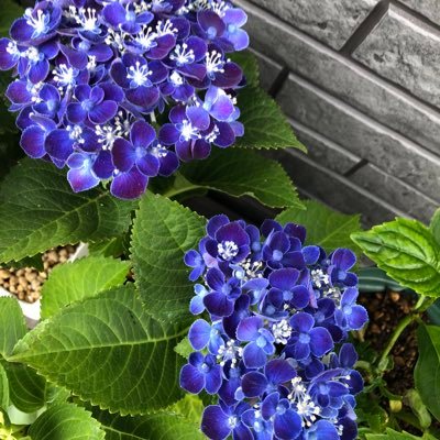 紅貴さんのプロフィール画像
