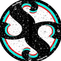 SEASKATE💹🧲 (@theseaskate) 's Twitter Profile
