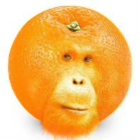 ThiagoHerr730's profile picture. 