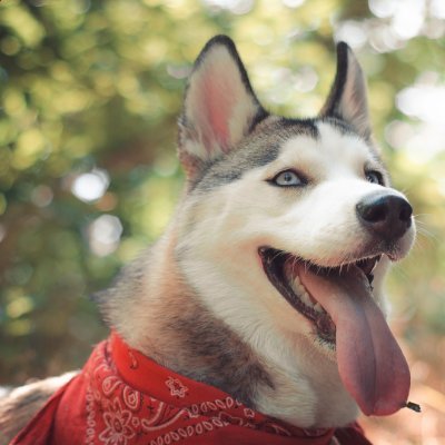 darlington71842's profile picture. Stay positive ✨️ 🙏 
Self-love before any other love ❤️ 🫶🤲

Manchester United my world 🌎 ♥️