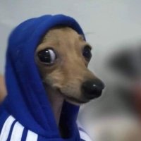 BR0KE.B0I (@br0ke_b0l) 's Twitter Profile