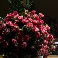 إسـراء✨ (@esraaesms) Twitter profile photo