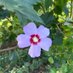 Blue Ridge Flower 🌸 (@blueridgeflower) Twitter profile photo Blue Ridge Flower 🌸 (@blueridgeflower) Twitter profile photo