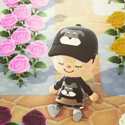 ochacha0904's profile picture. こんにちは٩( ᐛ )و 自然・動物🌱 漫画・アニメ・ゲーム好き🥰 スパイギアさん・関さん💕 ストグラも大好き！MOZU推しです♪
