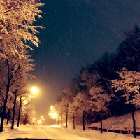 ちびにゃん (@nyantaruchibi) 's Twitter Profile