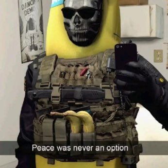 RobotSwarm19's profile picture. 