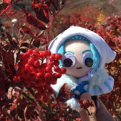 34℃さんのプロフィール画像