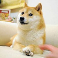 AI (@aia65543) 's Twitter Profile