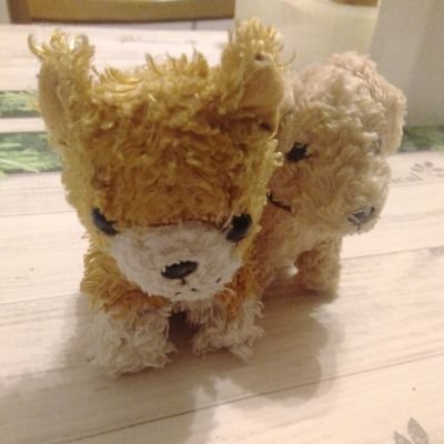 Lotusさんのプロフィール画像