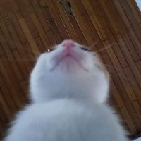 Bildungswoman (@itisclive) 's Twitter Profile Photo Bildungswoman (@itisclive) 's Twitter Profile Photo