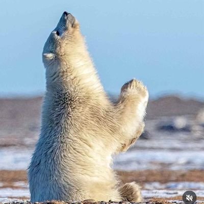 gonza32646's profile picture. I wanna make it