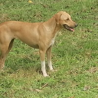 charry2769's profile picture. 