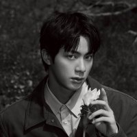JIN⁵¹ 👨🚀🚀 (@maplerjinnie) 's Twitter Profile