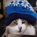 LotusEater1776 (@lotuseater1776) Twitter profile photo LotusEater1776 (@lotuseater1776) Twitter profile photo