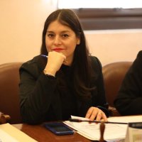 KarenMedinaDiputada (@diputadamedina) 's Twitter Profile