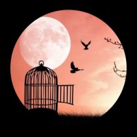 Hukuk Sürgünde (@mehmety76710889) 's Twitter Profile Photo