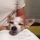 Mac Dye - @Macscrappydye - Twitter