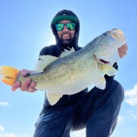 Tony in Texas🇺🇸 (@tonymission) 's Twitter Profile Photo