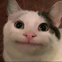 Digarch*shib | Shibarium is live (@digarchl78670) 's Twitter Profile