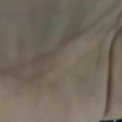 gash12938436622's profile picture. (°▽°)(ﾟ∀ﾟ)( ´Д`)y━･~~