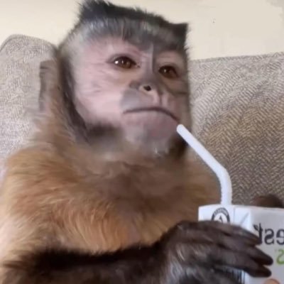 MijaresOG's profile picture. 🌙| 🇲🇽