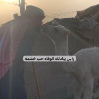 مغلي الوضح (@ab_4012) 's Twitter Profile