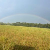 Mississippi Mama (@farmher03) 's Twitter Profile Photo