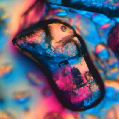 EthSchacht81088's profile picture. Nakamigos - Nakamigos-CLOAKS 🔮🔥