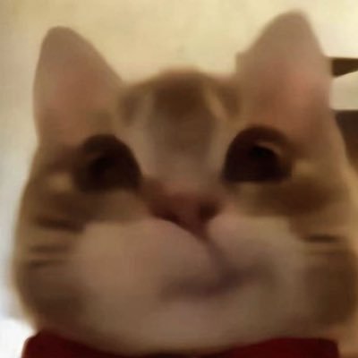 yorlan8888's profile picture. 