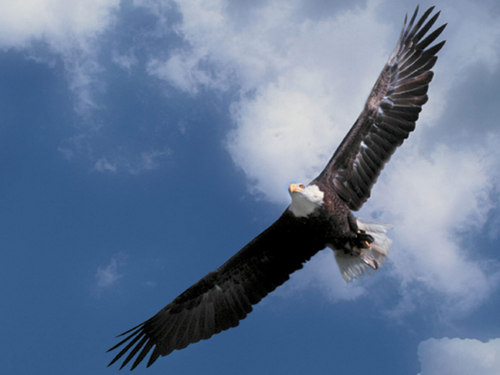 In_Statesboro's profile picture. Twitter has taught me that trans means not really.  #ΜΟΛΩΝ ΛΑΒΕ