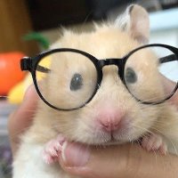 B conner (@broconnerx) 's Twitter Profile
