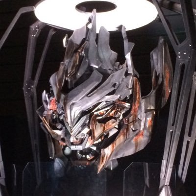 peiPEI1192296's profile picture. 