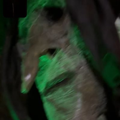VampireGelfling's profile picture. ugh.