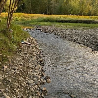 _asgarali's profile picture. |sxr|