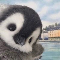 쭈니ǃǃ (@unruomuoow) 's Twitter Profile Photo 쭈니ǃǃ (@unruomuoow) 's Twitter Profile Photo