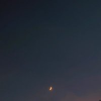 とろろ (@tororo__514) 's Twitter Profile