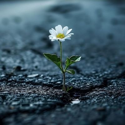 SevDeMss's profile picture. Yeter ki yüreğinden gelsin sesler.
Allah her duayı dinler......⚘⚘⚘💙