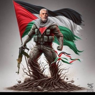DaoudiNawfal's profile picture. 