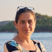 Nazlı Demirel (@ndemirel_) 's Twitter Profile