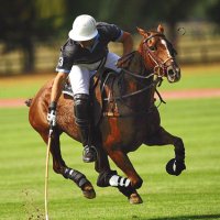 Ruby Rosa (@ruby_rosa_polo) 's Twitter Profile